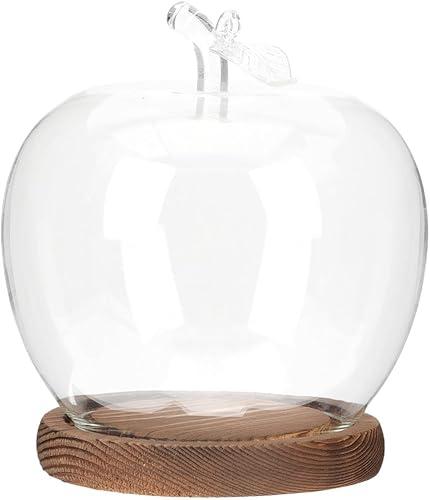 TOYANDONA Apple Dome Cover - Clear Cloche Showcase Round Apple Glass Display Dome Cloche for Preserved Flowershome Accessory, Display Collectibles, Valentine's Day Rose Plant Medal