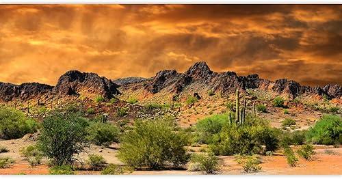 Laeacco 16x7ft Dusk Desolate Desert Backdrop Weathered Mountains Scenic Backdrop Natural Landscape Sunset Glow Cactuses Wedding Photo Studio Stage Perfomance Wallpaper Portrait Shoot Booth Props