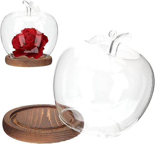 Glass Dome with Base Creative Apple Glass Cover for Doll Crafts Clay Crafts and Home Decor Display for Collectibles and Decorative Items