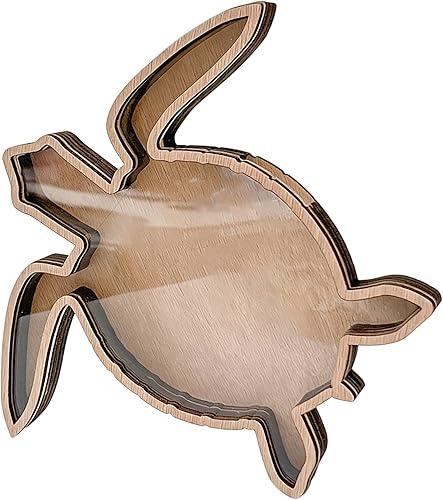 Seashells Holders Seashells Display Box for Teeth Starfishs Collection Small Shadows Beach Coastal Homes Decors Small Shadows