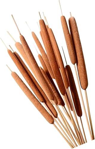 10PCS Dried Cattail Stems, 50-60cm Decorative Reed Grass for Vase Fillers, Farmhouse Home Decor